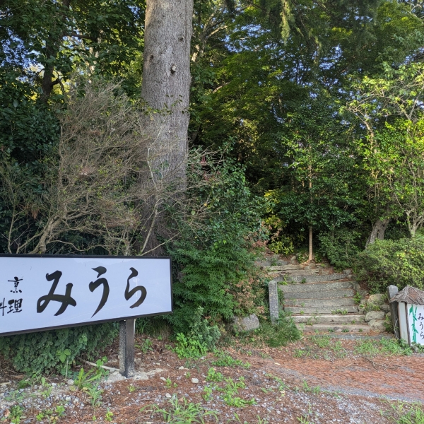 PXL_20240806_073846777.MP