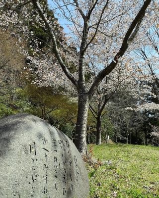 TOP - 天平ろまん館